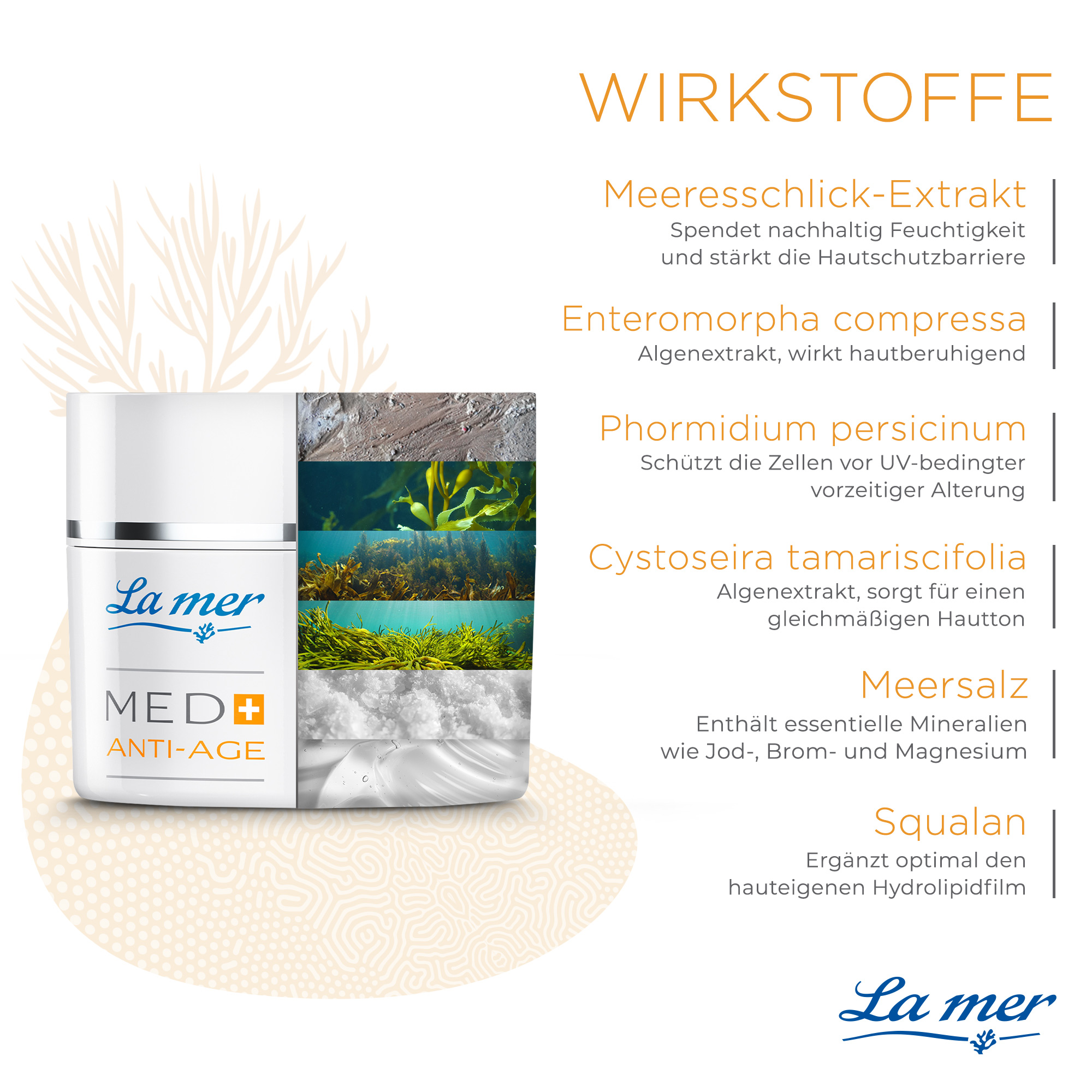 Night cream | Med+ Anti-Age Night cream | Med+ Anti-Age