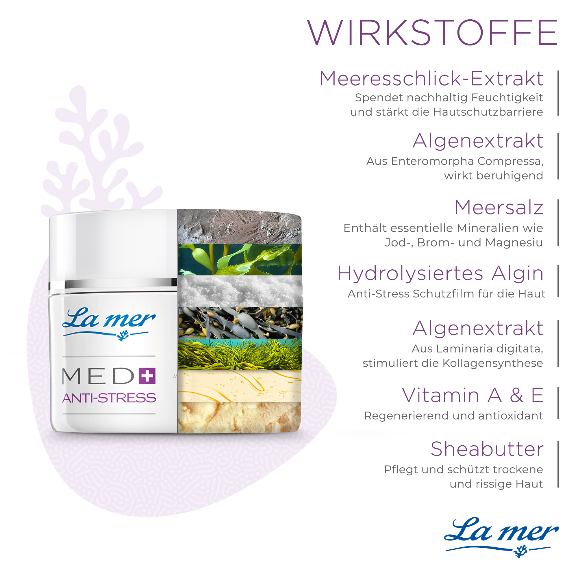 Reichhaltige Nachtcreme | Med+ Anti-Stress Reichhaltige Nachtcreme | Med+ Anti-Stress