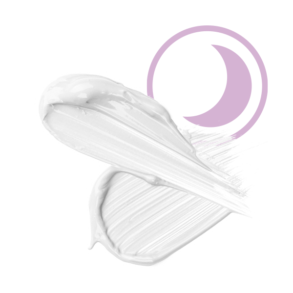 Rich Night Cream Rich Night Cream
