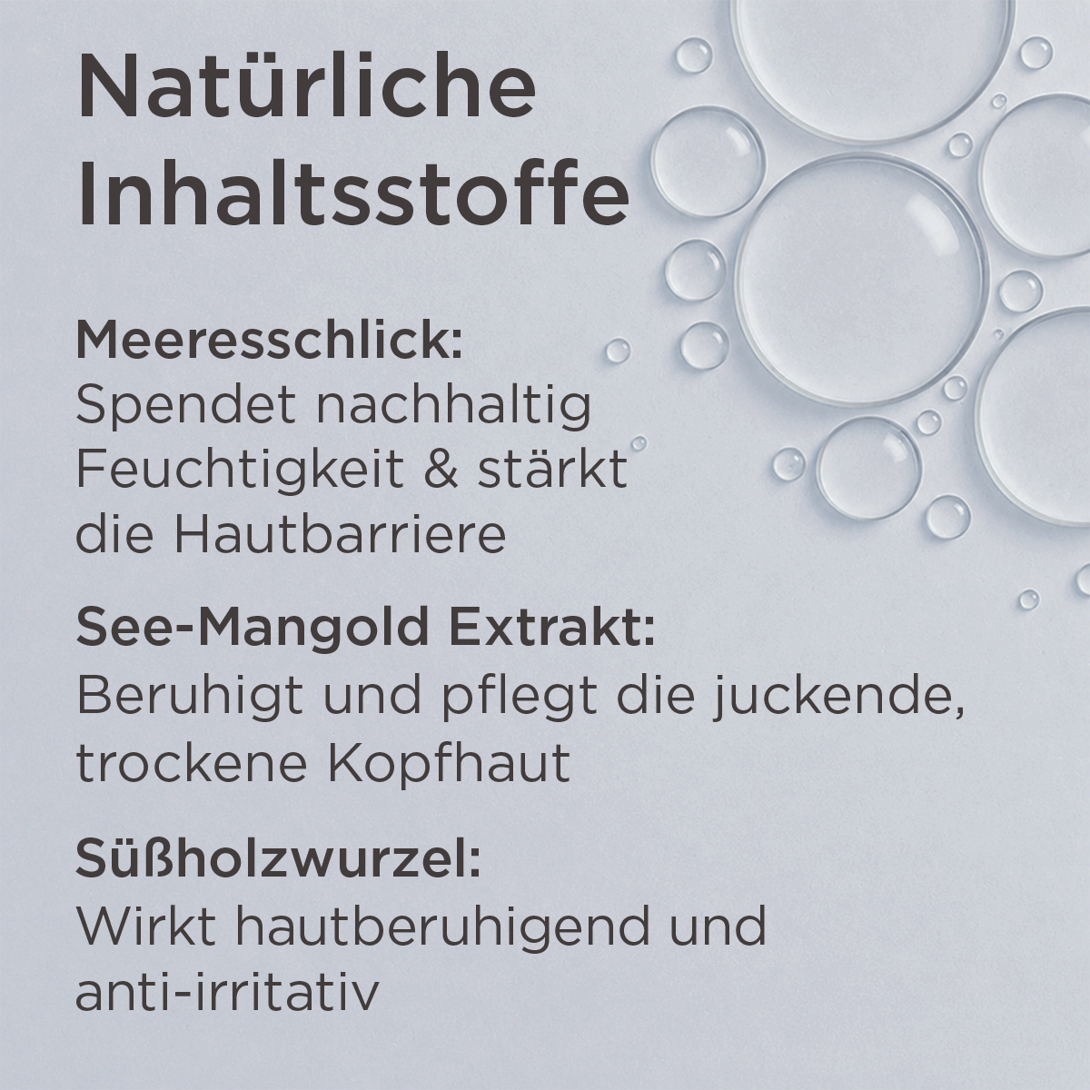 Inhaltsstoffe des MED Sensitive Shampoos mit Meeresschlick, See-Mangold-Extrakt und Süßholzwurzel